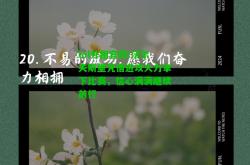 lol外围官网:沃尔夫斯堡凭借进攻火力拿下比赛，信心满满继续前行